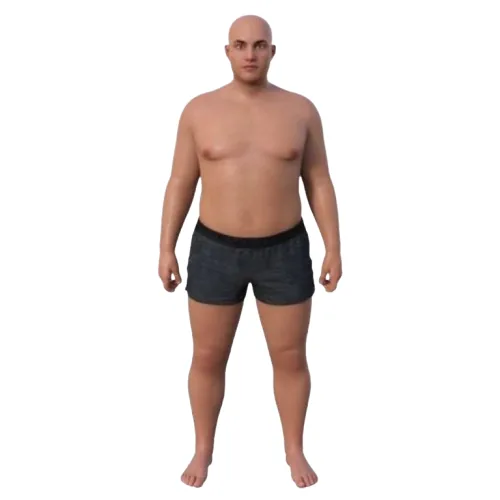 Endomorph workout plan — fat loss and muscle preservation training