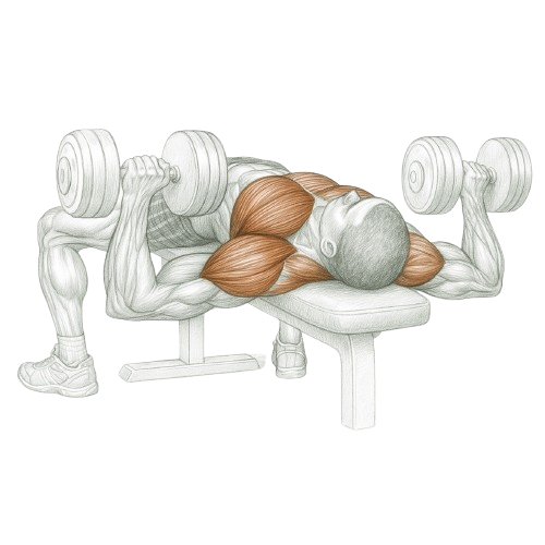 Dumbbell presses