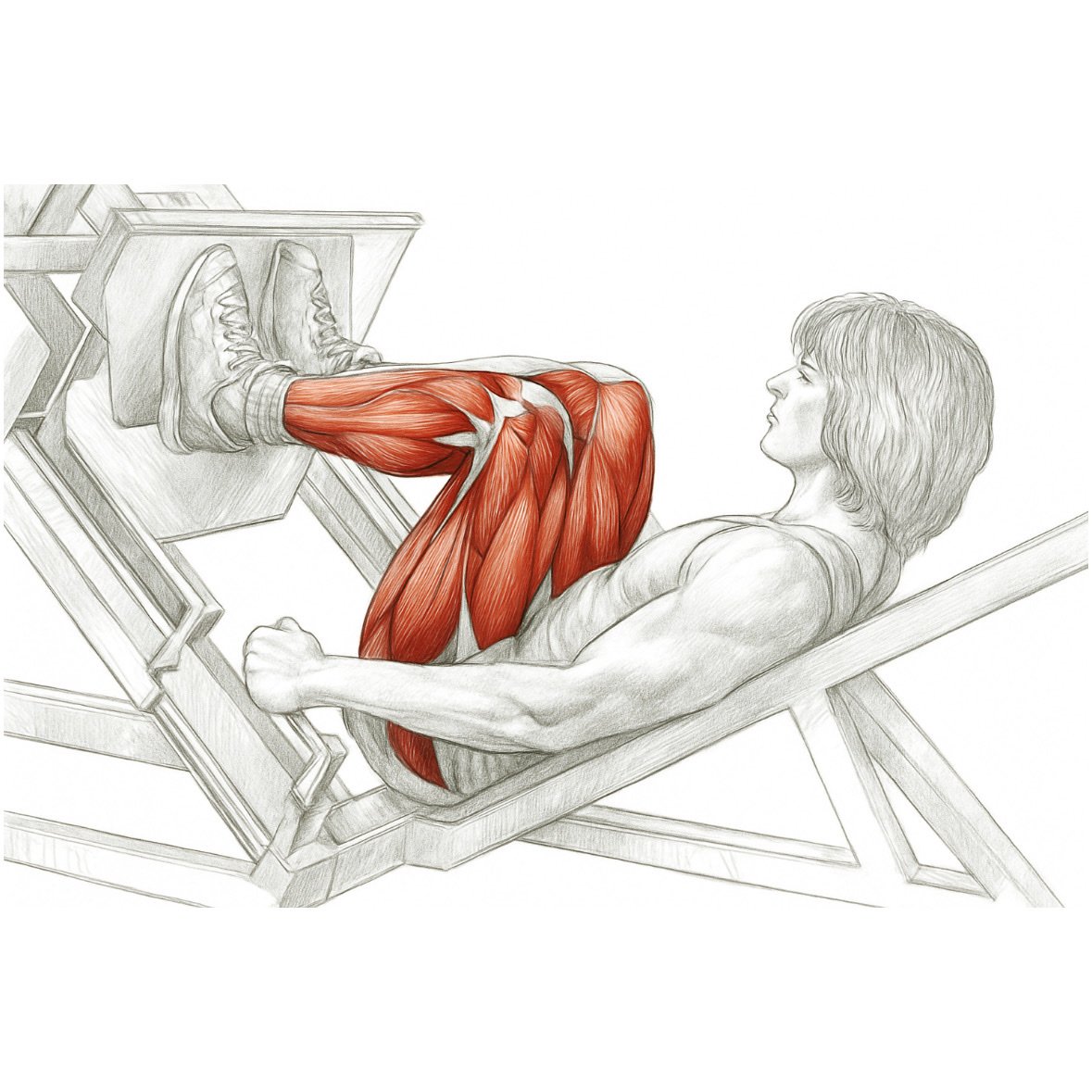 Angled Leg Presses
