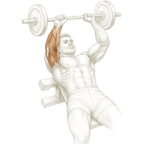 Triceps Extensions