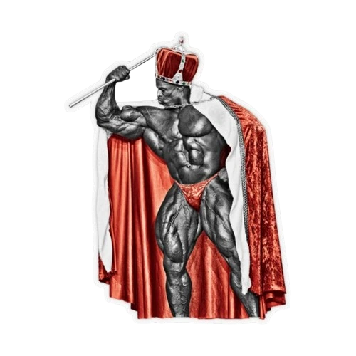 Bodybuilding workout training illustration — programs, exercises, and nutrition