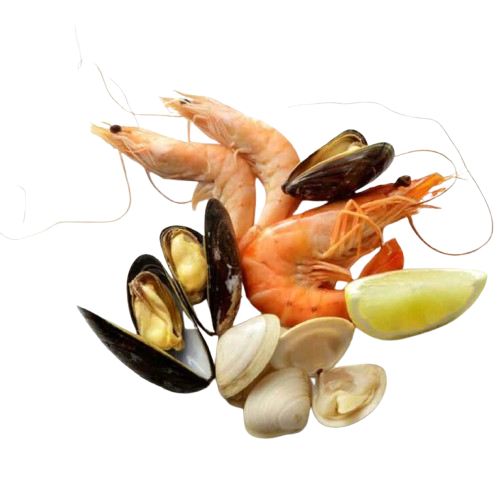 Shellfish