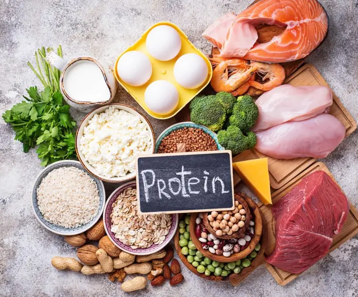 Protein-rich foods