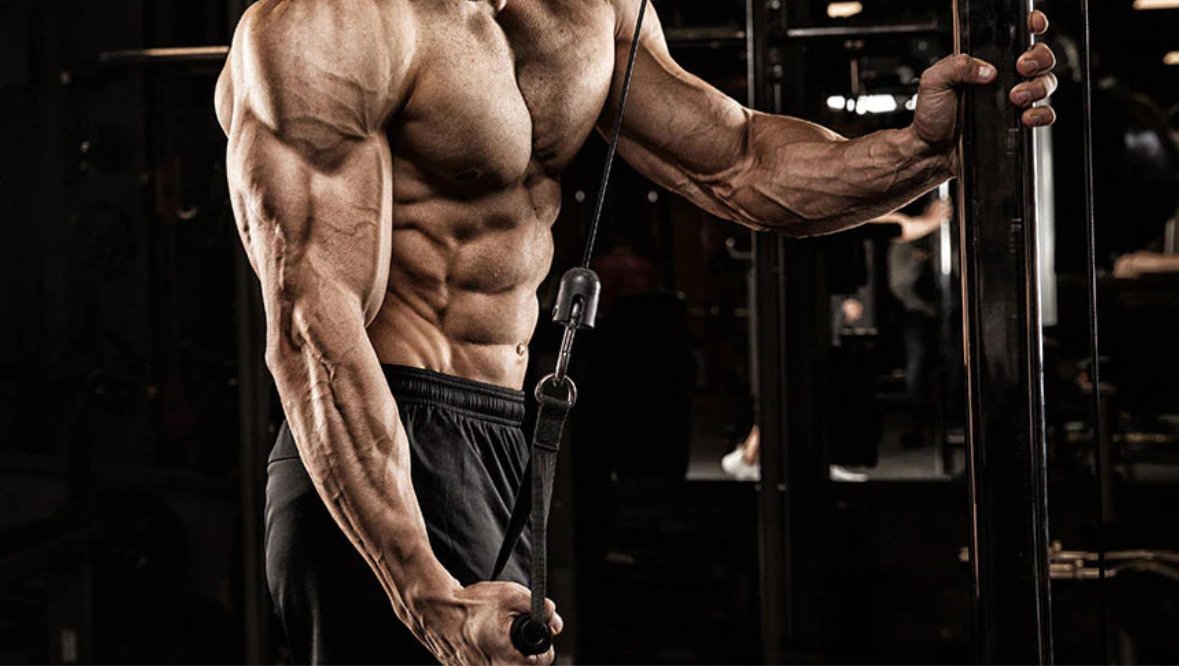 Bodybuilding Workout Programs